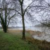 Champignon marin à la Loire Saint-Aubin