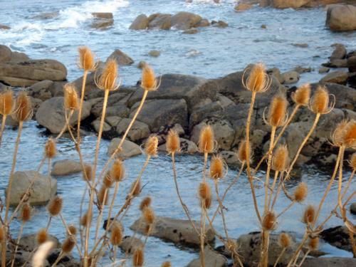 Album - Couleurs de Bretagne