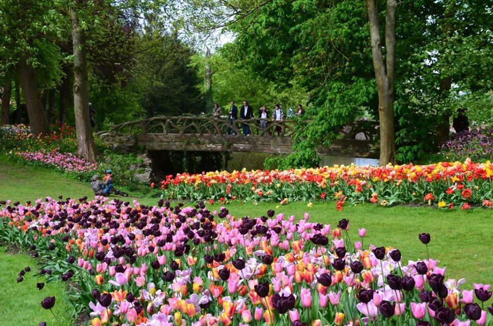 Découvrez le printemps avec Floralia Brussels au château de Grand-Bigard du 7 avril au 7 mai 2017