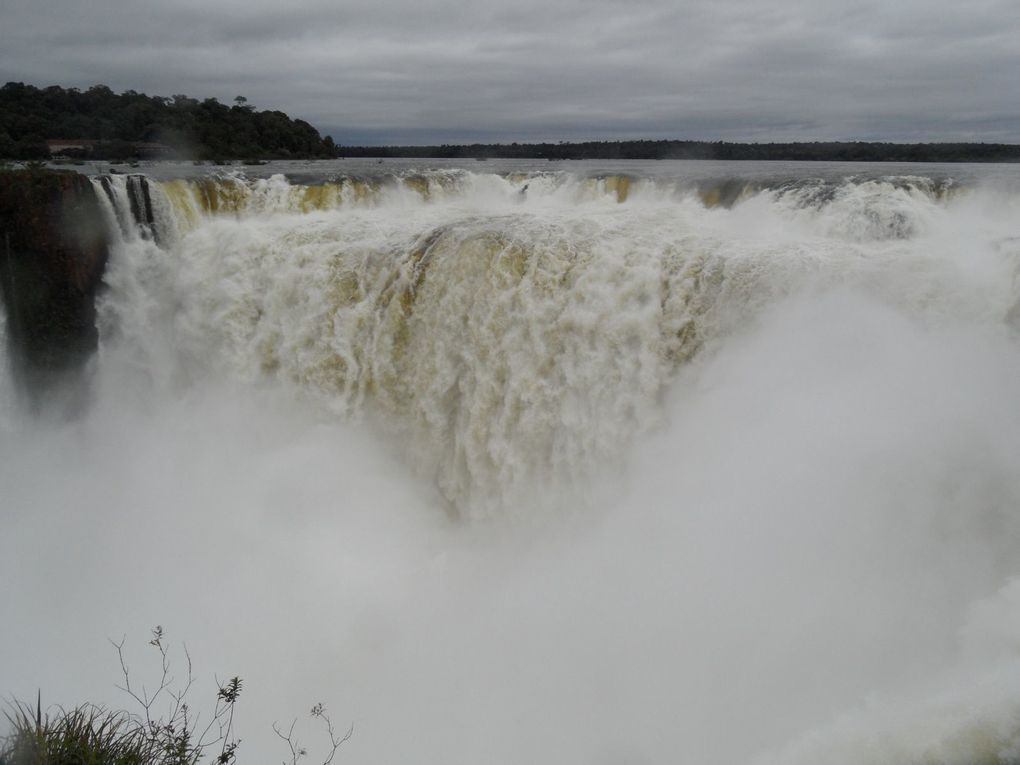 Album - Puerto-Iguazu