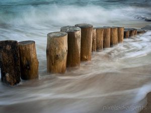 Autour du Cap Ferret : Visions rapprochées