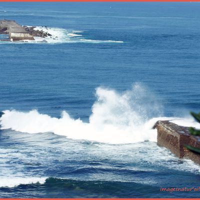 Baie de St Jean et Socoa