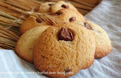 Cookies aux 2 chocolats