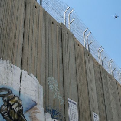 Le Sénat irlandais vote l'interdiction des Importations en Provenance des Colonies israéliennes