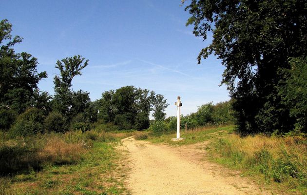 le Chemin de St-Crépin-aux-Bois à Rethondes