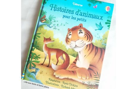 5 histoires du monde entier : Histoire d'animaux pour les petits chez Usborne