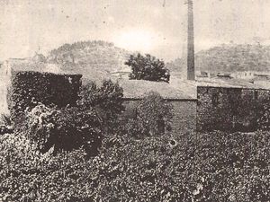 L'usine de fabriction de tartre de Calvisson - cristaux de tartre de vin