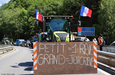 Agriculteurs en colère et blocage des Pyrénées : en vidéo, les interventions de Jérôme Bayle des "Ultras de l'A64" et de Joël Aviragnet, député du Comminges-Savès