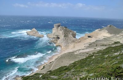 Corse du sud - avril 2016