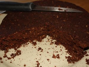 Gateau végétal chocolat-noix de coco (sans œufs, presque sans gras) 