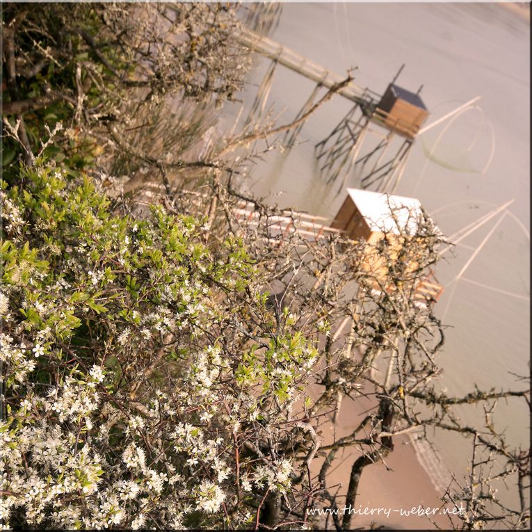 Album - Les Carrelets