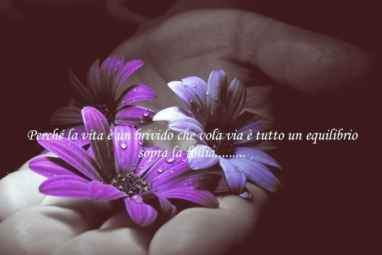Perche La Vita è Un Brivido Perché la vita è un brivido che vola via, è tutto un equilibrio sopra