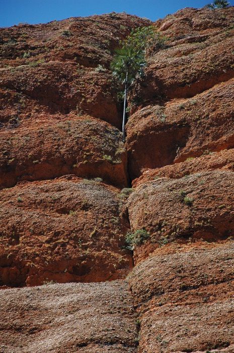 Le Sud du Kimberley : Kununurra, Bungle Bungle, Wolf Creek crater, Tunnel creek,...