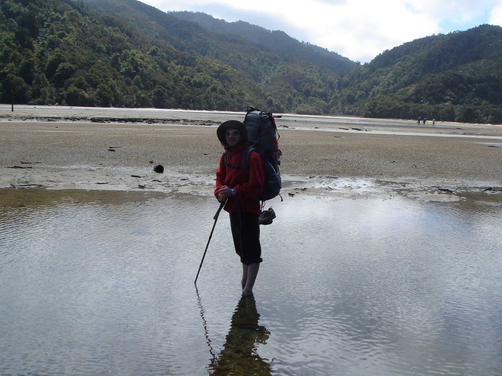 Album - Top South Island