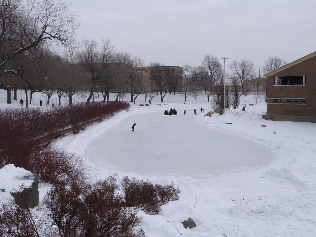 Album - Parc-La-Fontaine