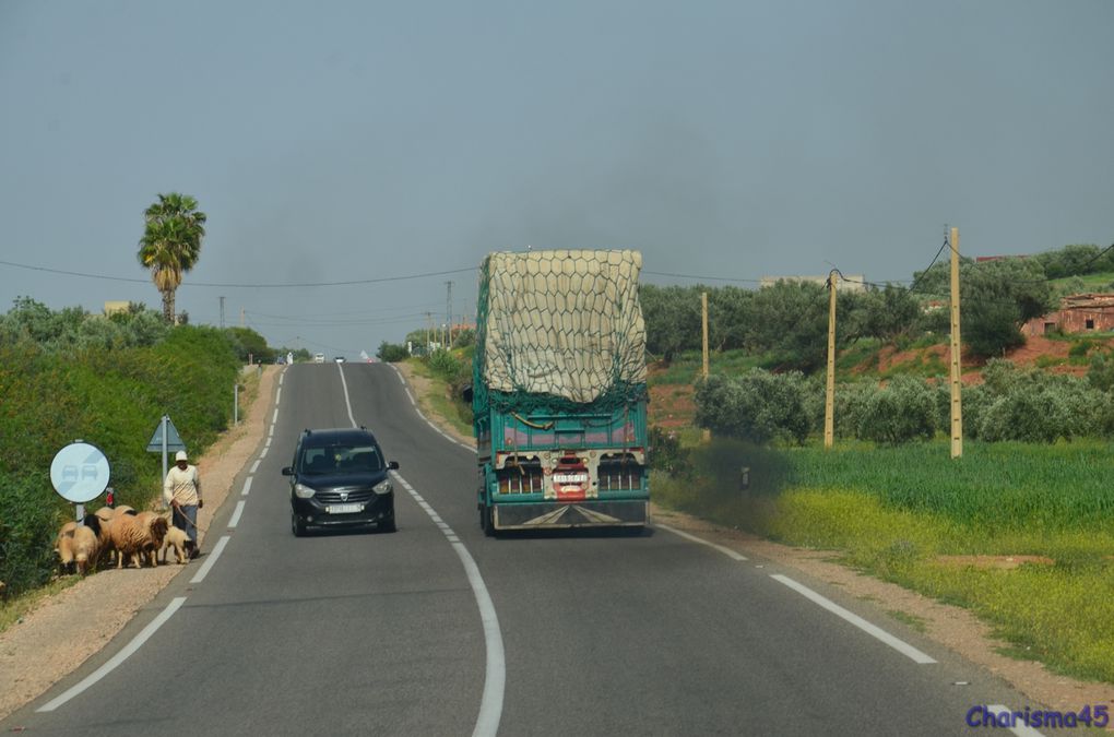 Sur la route de Meknès (Maroc en camping-car)