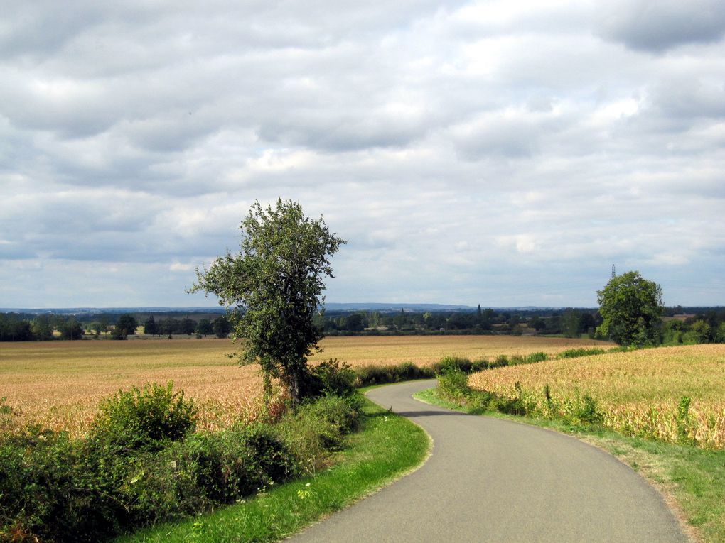 balades à vélo