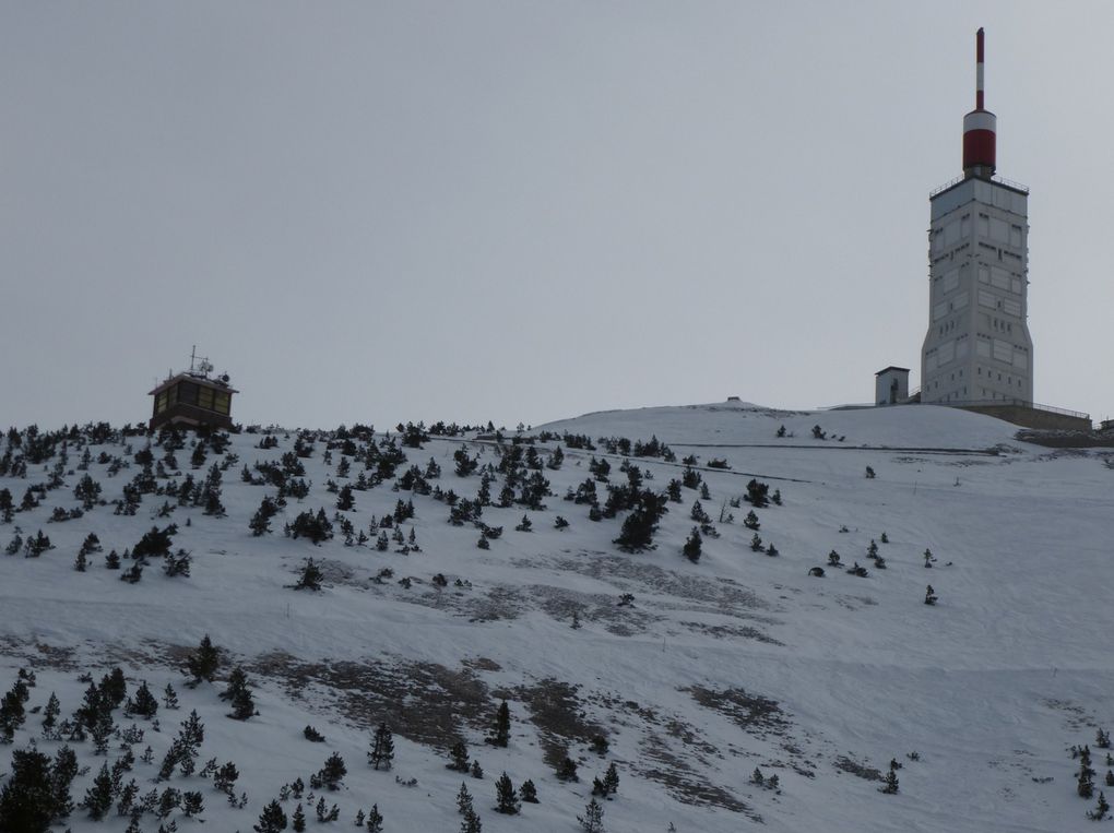 Album - Le Ventoux sous la neige. Photos de Hubert, Bernard et...ma pomme.