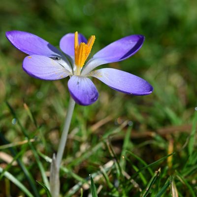 Et un , et deux , et trois ...