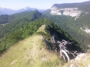 2015/06/28 Trail du Grand Duc de Chartreuse