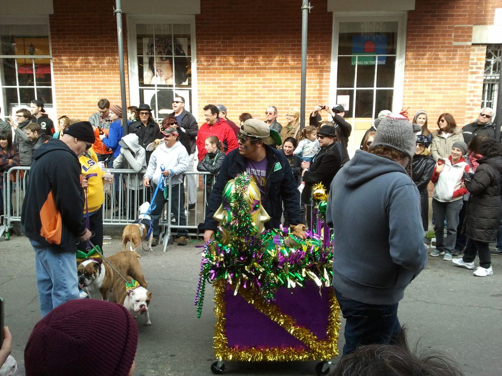 Première parade de notre premier carnaval.