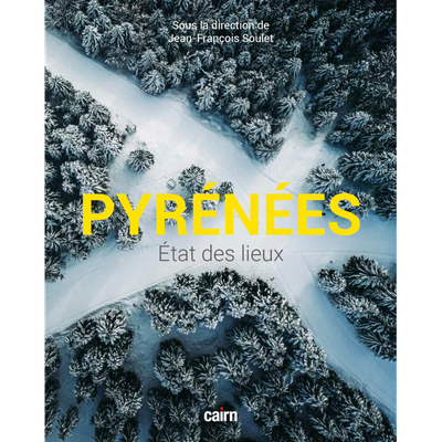 Bibliothèque : "Pyrénées état des lieux" dirigé par Jean-François Soulet