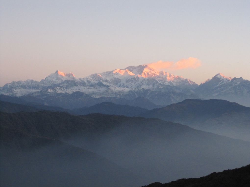 Album - INDE--Darjeeling---Treck