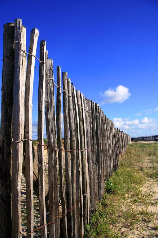 Sentier de douanier en Pays de Retz - Photos Thierry Weber Photographe La Baule Guérande