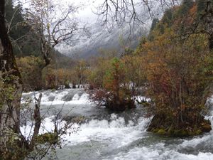 Sichuan Nord - Jiuzhaigou