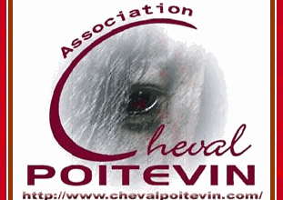 Chevalpoitevin.com, parrainer pour protéger !