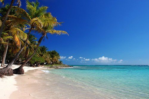 La Guadeloupe île caribéenne où il fait bon vivre 