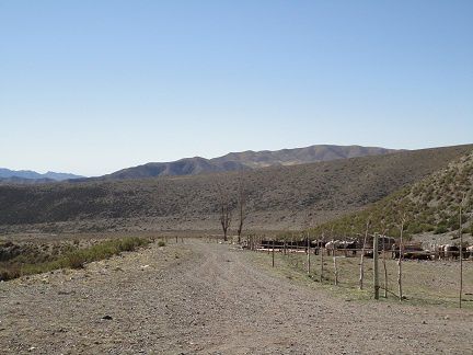 Album - 04_Cabalgata dans les Andes