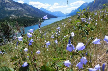 DAY 14 : ROAD TO WATERTON + WATERTON