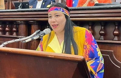 Consejo legislativo aprobó Ley de Protección y Preservación de las Especies Arbóreas del Estado Zulia
