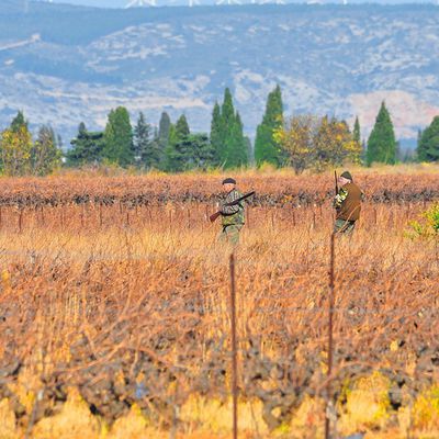 Un chasseur tue un cycliste... encore une victime de la chasse...