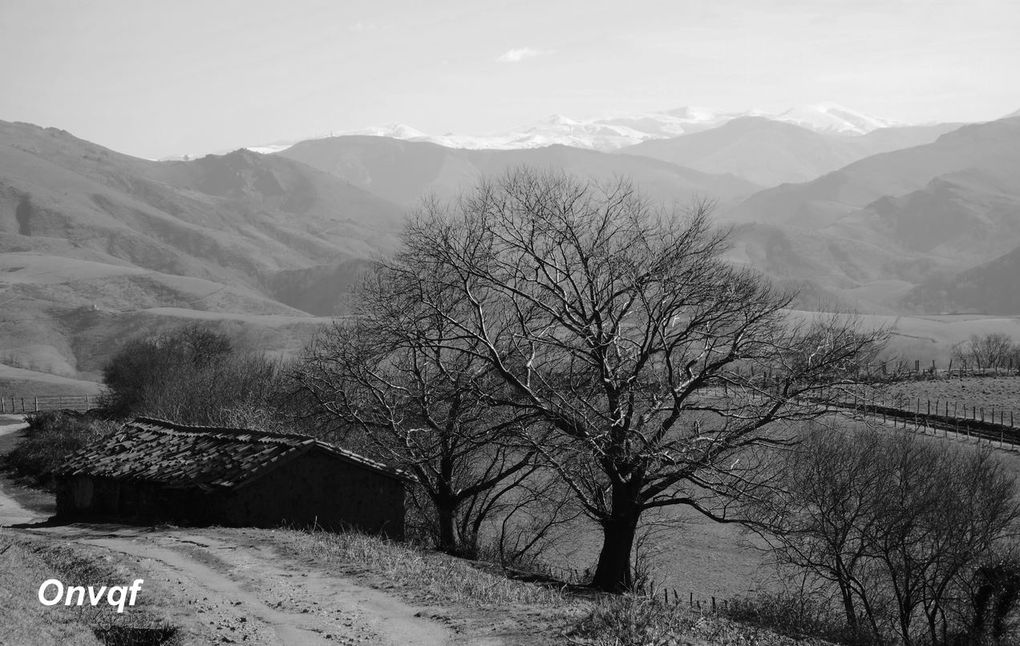 Tour du Mont Ursuya Randonnée AAA