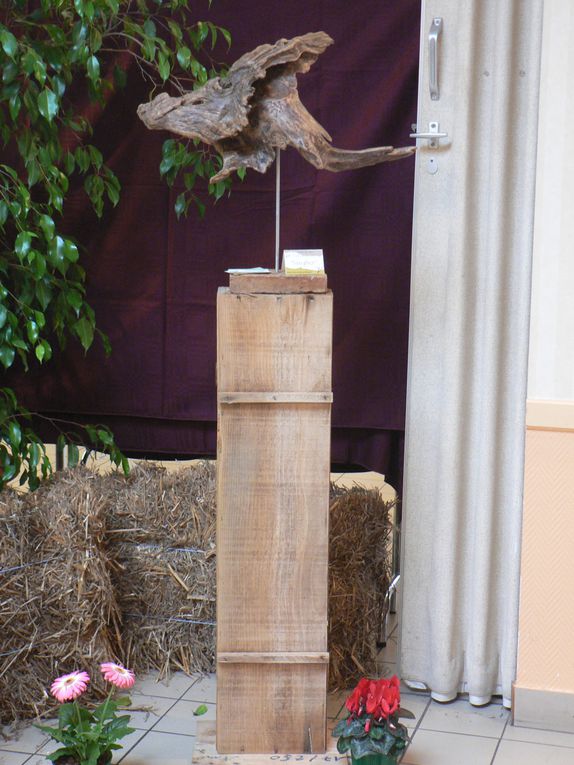 Album - exposition-Champtoce-sur-Loire-janv.-2013