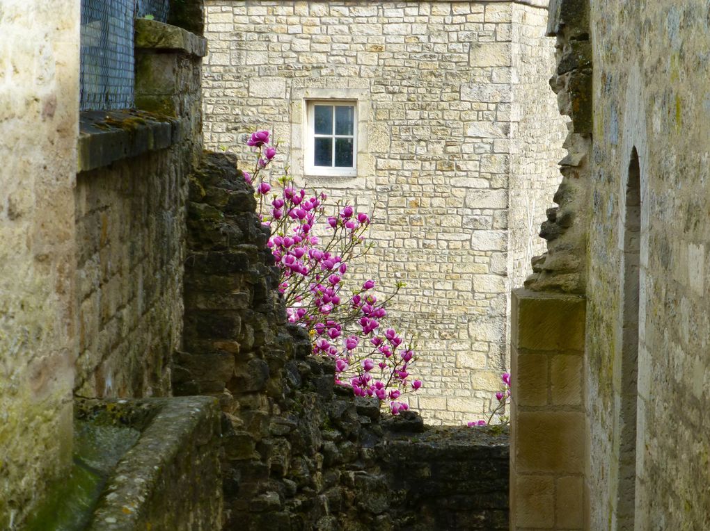 Particularité de Melle, le musée des nuages...quelques églises et des fleurs car il fait beau et chaud dans la journée.