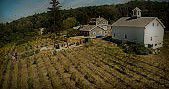 #Landot Noir Producers New Hampshire Vineyards