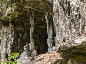 Grotte de Tupumai avec son plafond orné de coquillages et de coraux