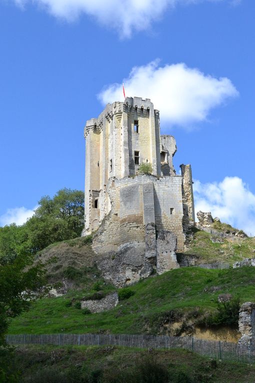 UN DES PLUS BEAU VILLAGE DE FRANCE : LAVARDIN  -           Un pont gothique enjambe le Loir pour accéder à ce village blotti au pied d’un château fort qui résista à l’assaut de Richard Cœur de Lion mais fut pris par les troupes d’Henri IV. On peut en admirer aujourd’hui les vestiges des enceintes et des tours et son donjon haut de vingt-six mètres. Dans le village, les styles et les époques se mélangent, des maisons troglodytiques aux demeures gothiques et Renaissance  