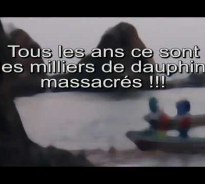 23 000 dauphins massacrés... 1€ pour faire la différence !