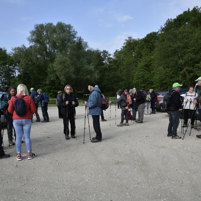 Rando Santé à Sainte-Hélène du Lac "Les Hauts de Sainte-Hélène"