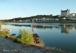 BALADE DES BORDS DE LOIRE, DE SAUMUR A ANCENIS.