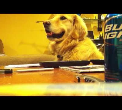 Pour rire un peut après le Réveillon