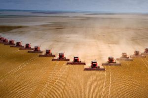 Agriculteurs : ils font leur blé en Ukraine