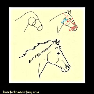 Comment dessiner une tête de cheval ?