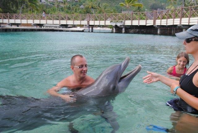 photos de dauphins en captivité à l'intercontental de Mooréa: idéal pour les enfants...