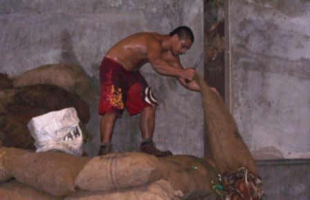 Depuis le fin fond de la Polynésie, le coprah (écorce de cocos ) est récupéré pour fabriquer de l'huile plus communément appelée "Monoï"...