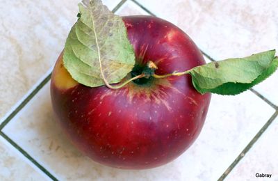 Les pommes rouges !